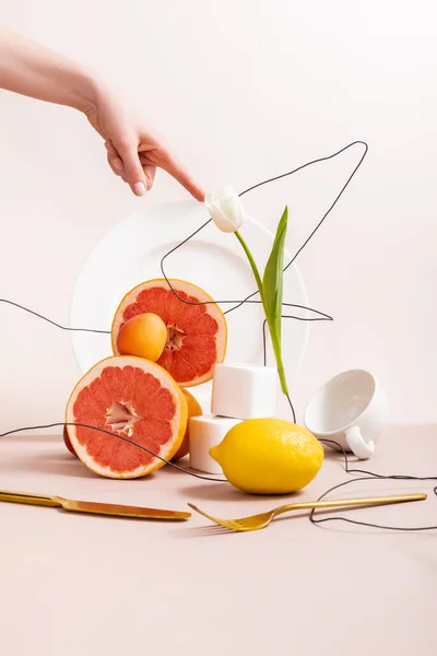 Floral and fruit composition with tulip on wire and citrus fruits near cubes, cup, fork, knife and female hand on plate isolated on beige — Stock Photo