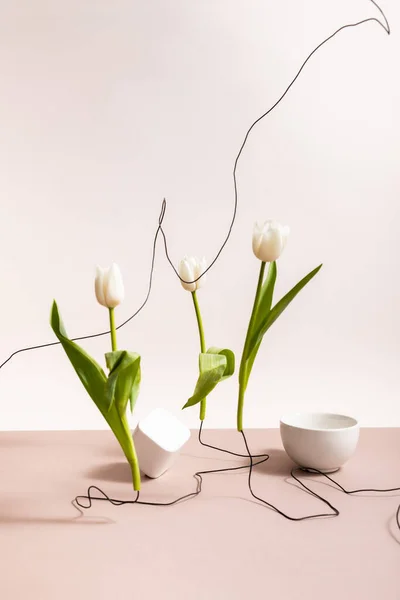 Creative floral composition with tulips on wires, cup and square cube isolated on beige — Stock Photo