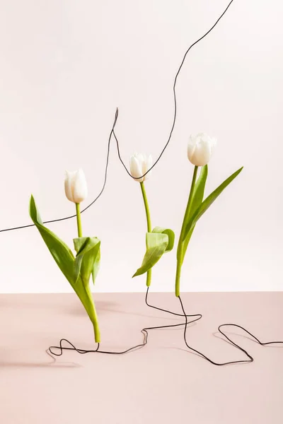 Creative floral composition with tulips on wires isolated on beige — Stock Photo