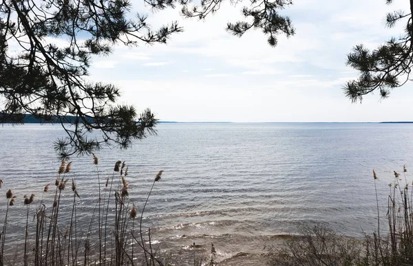 Sonnenlicht am See gegen blauen Himmel mit Wolken — Stockfoto