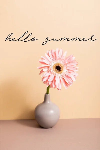 Pink gerbera in vase near hello summer lettering on beige — Stock Photo