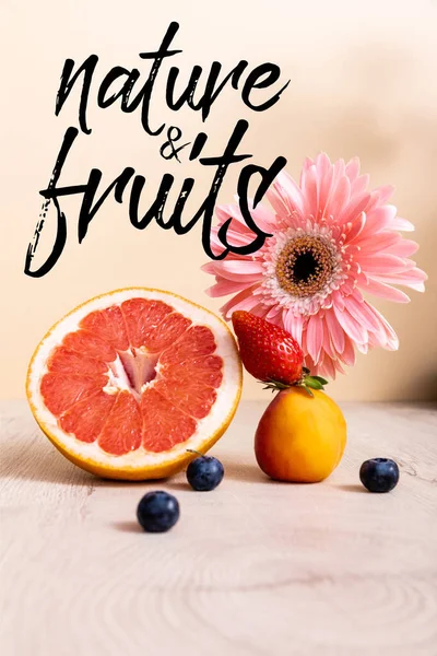 Rosa Gerbera, Beeren, Grapefruit und Aprikose naturnah und Früchte Schriftzug auf beige — Stockfoto