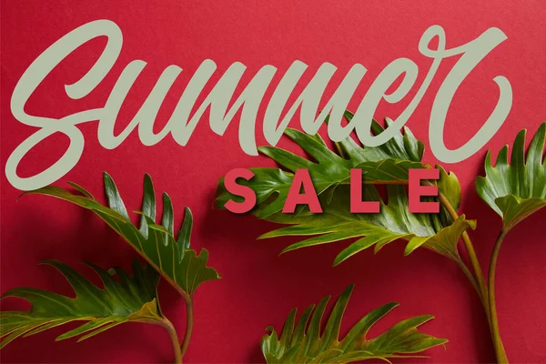 Top view of tropical green leaves on red background with summer sale illustration — Stock Photo