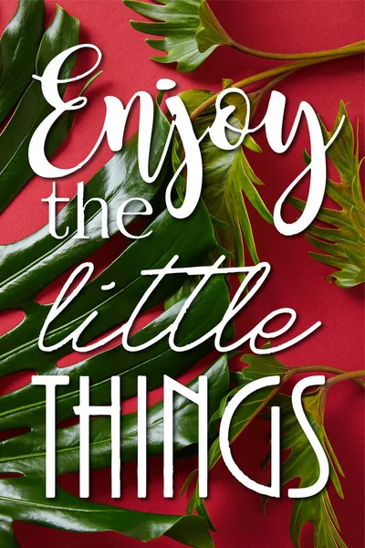 Top view of tropical green leaves on red background with enjoy little things illustration — Stock Photo