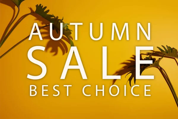 Tropical green leaves on yellow background with autumn sale illustration — Stock Photo