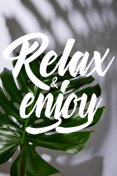 Fresh tropical green leaf on white background with relax and enjoy illustration — Stock Photo