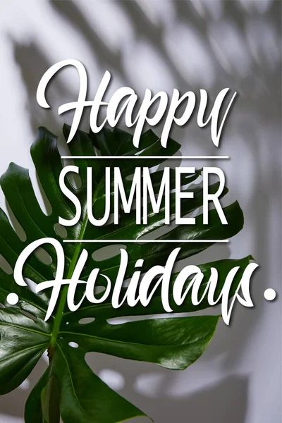 Fresh tropical green leaf on white background with happy summer holidays illustration — Stock Photo