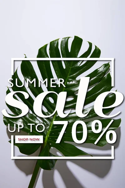 Frische tropische grüne Blatt auf weißem Hintergrund mit Sommerschlussverkauf Illustration — Stockfoto