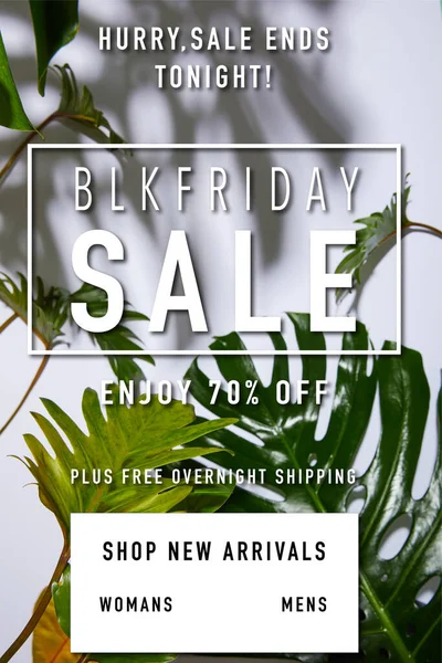 Fresh tropical green leaves on white background with black Friday sale illustration — Stock Photo