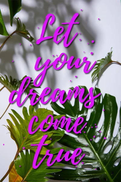 Fresh tropical green leaves on white background with let your dreams come true illustration — Stock Photo