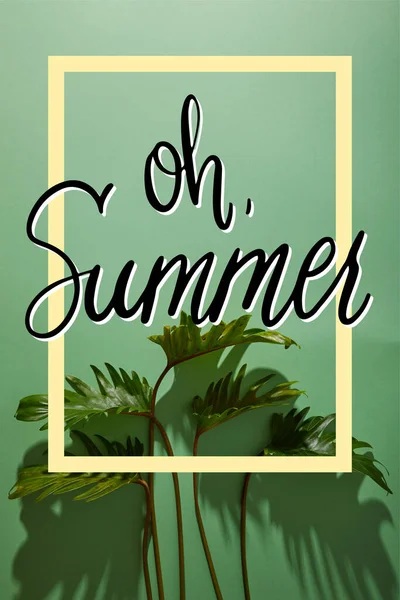 Fresh tropical green leaves on green background with oh summer illustration — Stock Photo