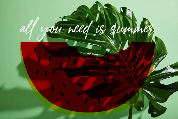 Fresh tropical leaf on green background with all you need is summer illustration — Stock Photo
