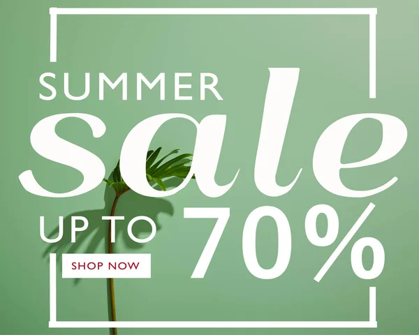 Fresh tropical leaf on green background with summer sale illustration — Stock Photo