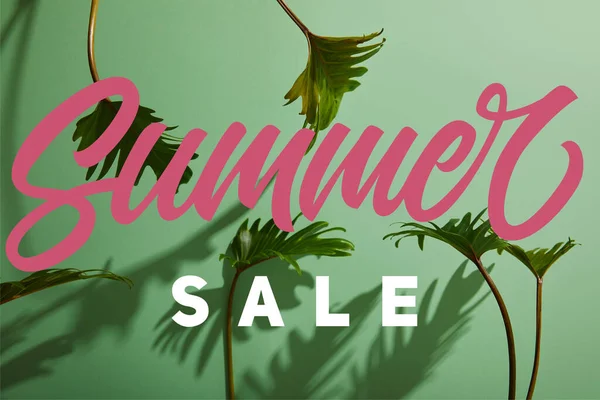 Fresh tropical green leaves on green background with summer sale illustration — Stock Photo