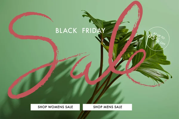 Fresh tropical green leaves on green background with black Friday sale illustration — Stock Photo