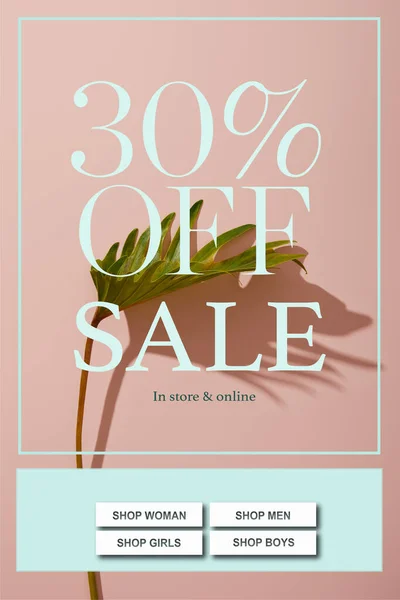 Fresh tropical green leaf on pink background with sale illustration — Stock Photo