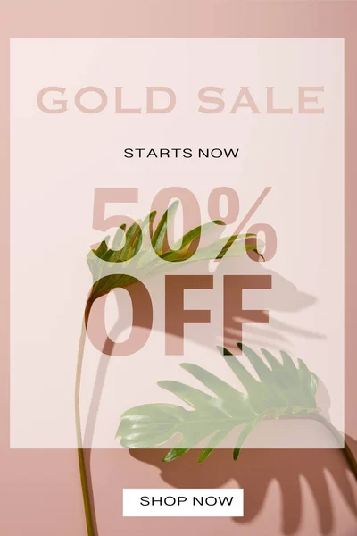 Frische tropische grüne Blätter auf rosa Hintergrund mit Goldverkauf Illustration — Stockfoto