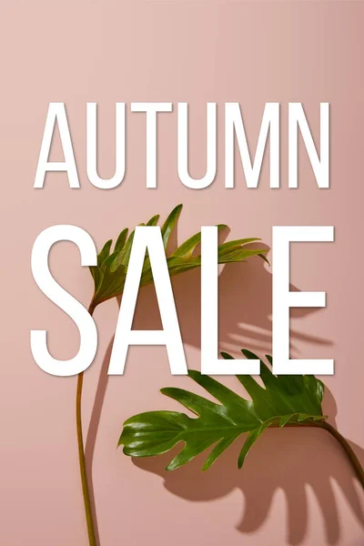 Frische tropische grüne Blätter auf rosa Hintergrund mit Herbst Verkauf Illustration — Stockfoto