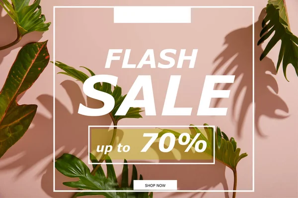 Fresh tropical green leaves on pink background with flash sale illustration — Stock Photo