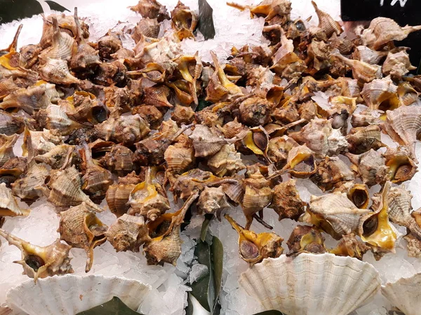 Frische Meeresfrüchte Auf Dem Basar — Stockfoto