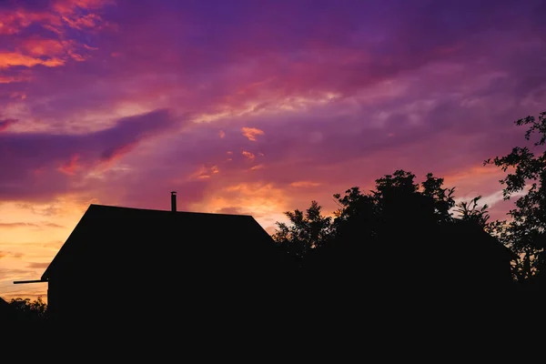 Silueta Del Bosque Cielo Nocturno —  Fotos de Stock