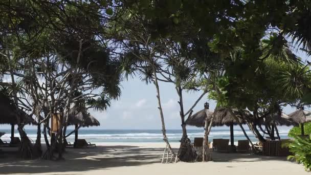Beyaz Kum Plaj Palmiye Ağaçları Yeşil Ağaç Görünümünü Cennet Bırakır — Stok video