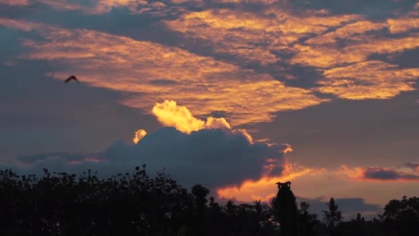 太陽が沈む水平線 急速にバリ島で さまざまな色の雲を照らす — ストック動画