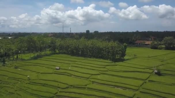 Voando Sobre Terraços Arroz Nuvens Cumulus Hiper Lapso — Vídeo de Stock