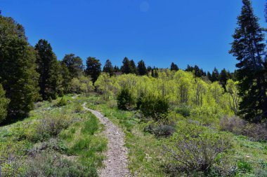 Yol boyunca Wasatch açık Rocky Dağları, Kennecott Rio Tinto bakır tarafından Oquirrh dağların manzarasına benim, Tooele ve bahar büyük Tuz Gölü vadisinde hiking. Utah, ABD.