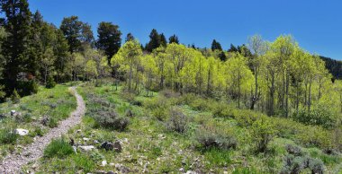 Yol boyunca Wasatch açık Rocky Dağları, Kennecott Rio Tinto bakır tarafından Oquirrh dağların manzarasına benim, Tooele ve bahar büyük Tuz Gölü vadisinde hiking. Utah, ABD.