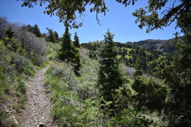 Yol boyunca Wasatch açık Rocky Dağları, Kennecott Rio Tinto bakır tarafından Oquirrh dağların manzarasına benim, Tooele ve bahar büyük Tuz Gölü vadisinde hiking. Utah, ABD.
