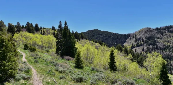 徒步穿越瓦萨奇前落基山脉的 Oquirrh 由肯尼科特力拓铜矿 图尔和大盐湖山谷的春天 犹他州 — 图库照片