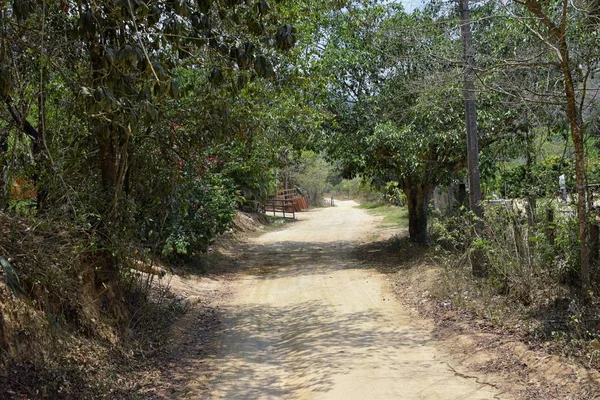 Jungle Landscape Views Rural Small Village Road Eden Puerto Vallarta — Stock Photo, Image