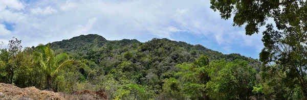 Djungelutsikt Landskap Från Lantlig Liten Vägen Till Eden Puerto Vallarta — Stockfoto