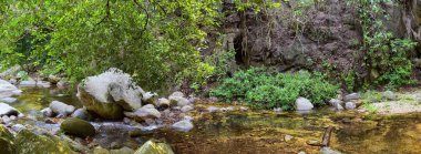 Kırsal küçük köy yolu orman nehir ve şelale görünümlerinden El Eden Puerto Vallarta nerede film filme Meksika tarafından için 