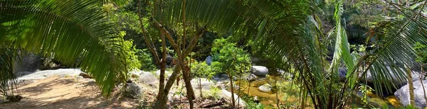 Jungle River Dan Pemandangan Air Terjun Dari Pedesaan Jalan Desa — Stok Foto