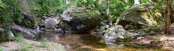 Río Selva Vistas Cascada Desde Camino Rural Pequeña Aldea Edén — Foto de Stock