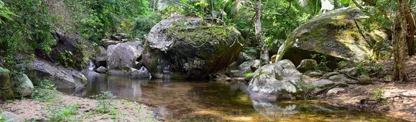 Jungle River Vue Sur Cascade Depuis Route Rurale Petit Village — Photo