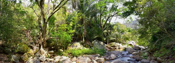 Blick Auf Den Dschungel Und Den Wasserfall Von Der Kleinen — Stockfoto