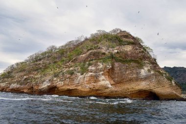 Milli Parkı Vallarta denizaltı veya Los Arcos Deniz Parkı (Las bezelye veya The Rocks), deniz kuşları Fırkateyn (çalışma platformları kuşlar), dahil olmak üzere büyük bir çeşitlilik ile arches Pelikan ve mavi ayaklı Boobie mağaralar ve tüneller ve tüplü dalış ve şnorkel ile.