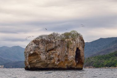 Milli Parkı Vallarta denizaltı veya Los Arcos Deniz Parkı (Las bezelye veya The Rocks), deniz kuşları Fırkateyn (çalışma platformları kuşlar), dahil olmak üzere büyük bir çeşitlilik ile arches Pelikan ve mavi ayaklı Boobie mağaralar ve tüneller ve tüplü dalış ve şnorkel ile.