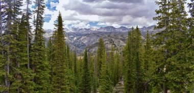Rüzgar nehri aralığı, Rocky Dağları, Wyoming, hiking backpacking üzerinden Gösterim Titcomb Havzası için Elkhart Park Trailhead gitmekten geçmiş Hobbs, Seneca, ada, üst ve alt Jean göller gibi fotoğrafçılar işaret iz.