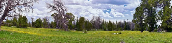 Szél Folyó Tartomány Sziklás Hegység Wyoming Hátizsákkal Túrázás Kilátást Nyom — Stock Fotó
