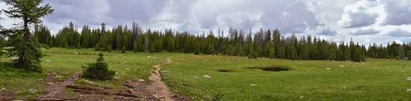 Wind River Range Felsige Berge Wummernd Aussicht Vom Backpacking Wanderweg — Stockfoto