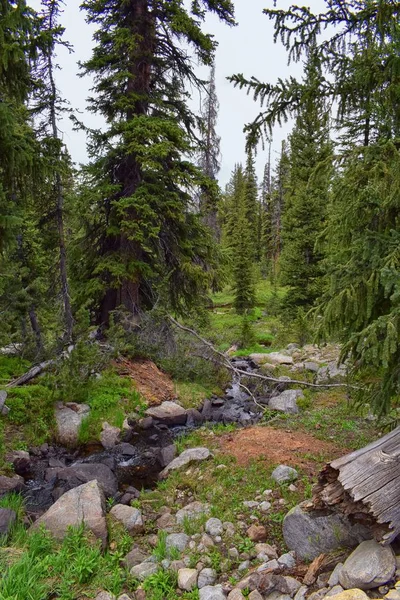 Chaîne Wind River Montagnes Rocheuses Wyoming Vues Depuis Sentier Randonnée — Photo