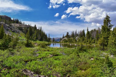 Rüzgar nehri aralığı, Rocky Dağları, Wyoming, hiking backpacking üzerinden Gösterim Titcomb Havzası için Elkhart Park Trailhead gitmekten geçmiş Hobbs, Seneca, ada, üst ve alt Jean göller gibi fotoğrafçılar işaret iz.
