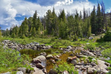 Rüzgar nehri aralığı, Rocky Dağları, Wyoming, hiking backpacking üzerinden Gösterim Titcomb Havzası için Elkhart Park Trailhead gitmekten geçmiş Hobbs, Seneca, ada, üst ve alt Jean göller gibi fotoğrafçılar işaret iz.