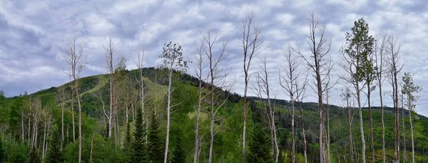 Park City Kejsarinnan Pass Utsikt Över Panoramautsikt Över Landskapet Längs — Stockfoto