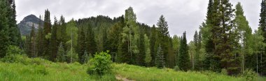 Mountain panoramic views from hiking trails to Doughnut Falls in Big Cottonwood Canyon, in the Wasatch front Rocky Mountains, Utah, Western USA. clipart