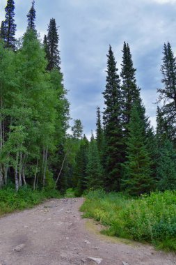 Rocky Dağları, Utah, Batı ABD için halka Falls'ta Wasatch büyük Cottonwood kanyonda yürüyüş parkurları dan dağ panoramik ön.
